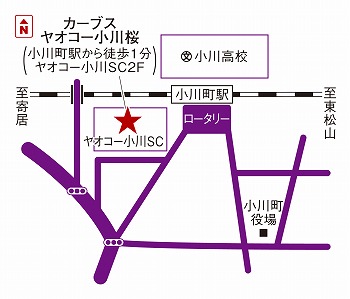 カーブスヤオコー小川桜 埼玉県 近くの店舗を探す カーブス