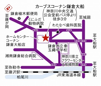 カーブスコーナン鎌倉大船 神奈川県鎌倉市 カーブス