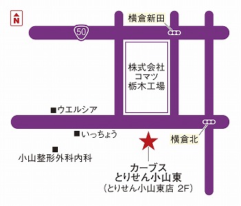 カーブスとりせん小山東 栃木県小山市 カーブス